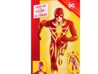 DC Flash Feature Figure 30 cm