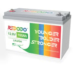 Batterie LiFePO4 12V 100Ah Cycle Profond Redodo Batteries Lithium-Fer-Phosphate Rechargeable, bms 100A Intégré, Bateaux, Camping-Cars, Maison