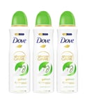 Dove Womens Advanced Care Antiperspirant Deodorant Spray Cucumber & GreenTea, 200 ml, 3 Pack - Green Lace - One Size