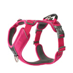 Dog Copenhagen Comfort Walk Pro Harness Wild Rose 2024 - S