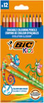 Bic Kids Evolution Illusion Erasable Colored Pencils, Pack of 12 12 Count (Pack 