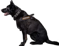 Dingo Gear S03197 Harnais Multifonction pour Chien au Travail, Dressage de Chien, K9 et Ipo, Cobra System Fait Main Noir Taille XL