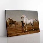 Big Box Art Jacques-Laurent Agasse The Wellesley Grey Arabian Canvas Wall Art Print Ready to Hang Picture, 76 x 50 cm (30 x 20 Inch), Multi-Coloured