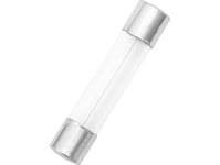 Blås 0620# Säkring 30Mm 2.0A Ce