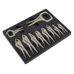 Locking Pliers Set 10pc Mole Vice Grips Clamps Jaw Faces Grip Silver 125-275mm