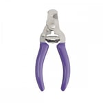 Show Dog Grooming Klosax