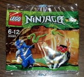 LEGO Ninjago Master Of Spinjitzu 30085 Christmas Stocking Party Bag Gift Filler