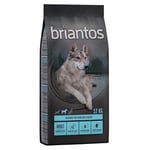 2 x 12 kg viljaton Briantos-koiranruoka erikoishintaan! - Briantos Adult Salmon viljaton (2 x 12 kg)