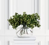 Hypericum snittblomma creme