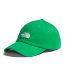 THE NORTH FACE Norm Cap Optic Emerald One Size