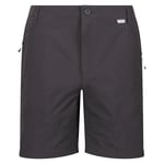 Regatta Men's Highton Long Walking Shorts Seal Grey
