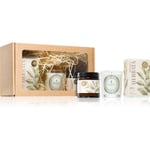 Flagolie Ritual For The Body Green Tea gift set 1 pc