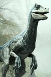 Jurassic World: Fallen Kingdom Statuette Prime Collectibles 1/10 Blue (Open Mouth Version) 17 cm