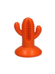 - Dental Cactus Medium Orange 12.3 cm - (H04197)