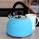 2.5L Whistling Stovetop Kettle Sky Blue Stainless Steel Gas Electric Induction
