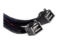 Silverstone Cps04 - Intern Sas-Kabel - Med Sidoband - Sas 12Gbit/S - 4-Vägs - 4X Mini-Sas Hd (Sff-8643) (Hane) Till 4X Mini-Sas Hd (Sff-8643) (Hane) - 50 Cm - Svart