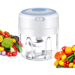 Mini Food Chopper, Wireless Portable Electric Garlic Chopper, Blender Food Processor, USB Charging, BPA-Free, Easy to Clean, for Baby Food/Peppers/Onions/Garlic/vegetable/Fruits/Chili/Meat/Nuts(250ML)