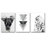 YHSM Animal Canvas Painting Black And White Pictures Wall Decor For Living Room Poster Geometric Painting Canvas Elephant Unframed 50X70cm No Frame D 3picees