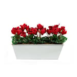 GreenBrokers Limited Coffret Artificielle Rouge Cyclamen Jardinière, Blanc Tin bac à Nourriture Pot de Fleurs 45 cm