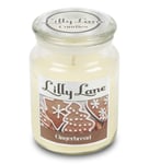 Lilly Lane Candles 18oz Scented Candle in Jar Winter Edition (Gingerbread)