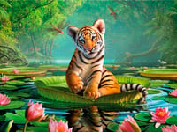 Deluxebase Enkelt kort 3D - Tiger bland näckrosor (Fraktfritt)