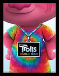 Trolls World Tour - Image encadrée 34 x 45 cm (Backstage Pass)