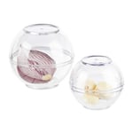 Relaxdays Boîte à oignon, lot de 2, boules de conservation ail, réfrigérateur, plastique, 7 & 9 cm Ø, transparent