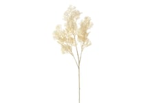 White Cypress Bloom - AmandaB