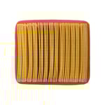 Champion Luftfilter 73001i, 73001i-P & 73001i DF Inverterelverk