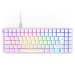 NZXT Function 2 MiniTKL | 2024 Compact Tenkeyless Optical Gaming Keyboard |Illuminated RGB | 8K Polling Rate | Linear Optical Switches | Adjustable Actuation | Hot-Swappable | White DE (QWERTZ)