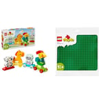LEGO DUPLO My First Animal Train Toy for Toddlers & 10980 DUPLO Green Building Base Plate, Construction Toy for Toddlers and Kids, Build and Display Board