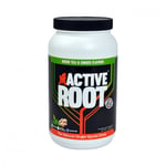 Active Root Energy and Hydration Natural Sports Drink Powder, Green Tea and Ginger Flavour, Vegan (1.4kg, 40 servings)