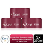Dove Pro Age Body Butter Nourishing Body Care+Moisture with Olive Oil, 3x250ml