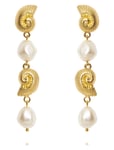 Shell Pearl Earrings Örhänge Smycken Gold Caroline Svedbom