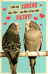Funny Filthy Lovers Valentine's Day Greeting Card Humour Valentines Cards