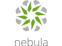 Zyxel Nebula Professional Pack - Abonnemangslicens (1 år) - 1 enhet