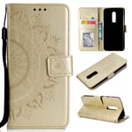 Snow Color Leather Wallet Case for OnePlus 6 with Stand Feature Shockproof Flip, Card Holder Case Cover for OnePlus6 - COHH051278 Gold