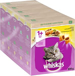 Whiskas Adult 1+ Croquettes au Poulet, 5 x 800 g (5 Paquets) – Nourriture sèche pour Chat Adulte – Différents emballages de Produits Disponibles