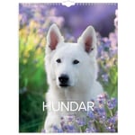 Väggkalender Burde 1777 Hundar 2025