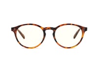 Gunnar Optiks Attaché, Oval, Klassisk, Brun, Nylonpolymer, Transparent, 5 Cm