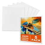 5 Packs Blank Canvas Panels Board 30 x 30 cm(12" x 12"), 100% Cotton for Acrylic Painting, Oil Paint & Wet Water Art Media, Canvases for Professional Artist, Hobby Painters & Beginners