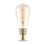 Marmitek Ampoule intelligente vintage Glow XLI - Dimmable avec l'application - LED - Compatible avec Alexa et Google - Aucun hub requis - Contrôlez n'importe où avec l'application - E27 - Ø64mm