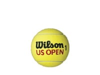WILSON Us Open Mini Jumbo Ball