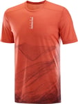 Salomon Men's S/LAB Ultra Tee Aop Burnt Sienna/decadent Chocolate/, M