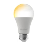 BW-LT29 Smart LED-lampa