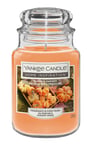 Yankee Candle Home Inspiration Scented Large Jar Pumpkin Harvest 100-125hrs
