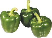 Frukt & Grönsaker Paprika grön