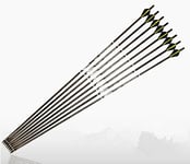 e5e10 31" 100% Pure Carbon Arrow Archery Arrows Spine 300 and 400 for Compound Bow or Recurve Bow Hunting Target Practice Outdoor Gift (6Pcs, 300Spine)
