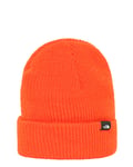The North Face Free Beanie TNF Flaire