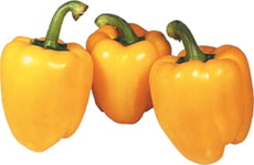 Frukt & Grönsaker Paprika gul